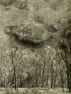Marcel Giró