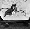 Roger Ballen