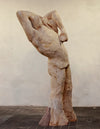 Baco - Francisco Leiro