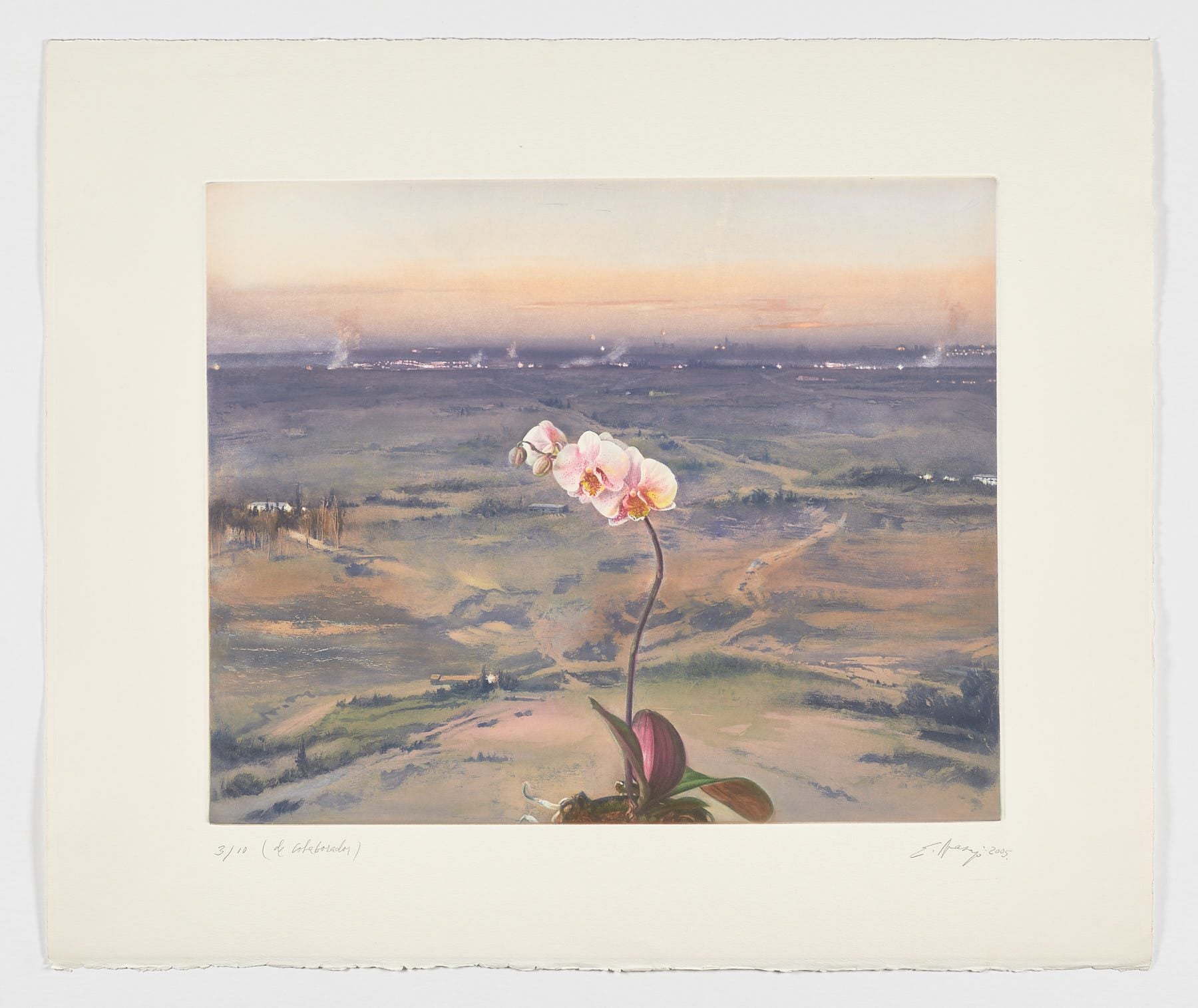 Orquídea (La Aurora) de Eduardo Naranjo