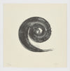 La Espiral. Naturaleza, Simbología y Cosmos de Martín Chirino