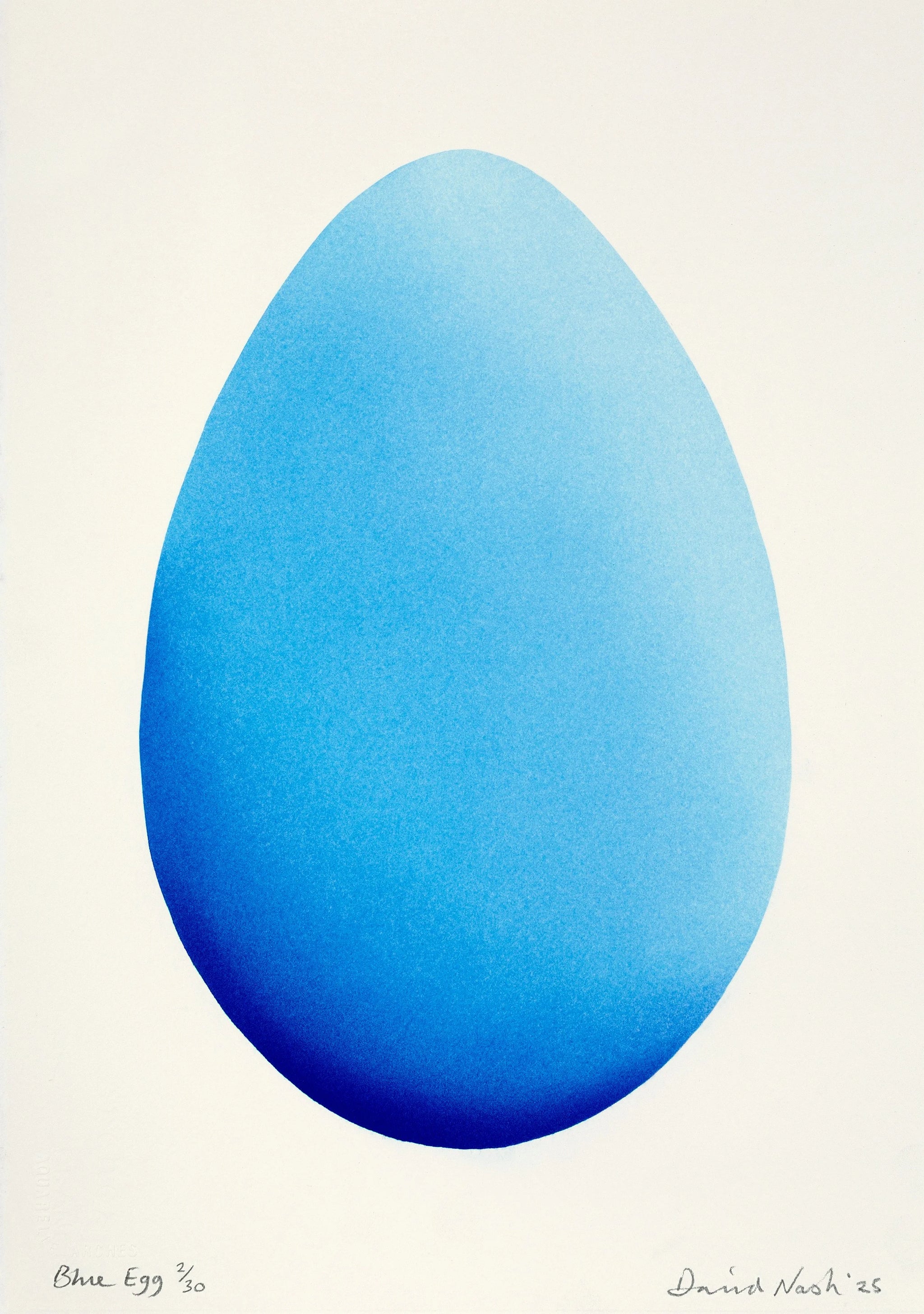 Blue Egg de David Nash