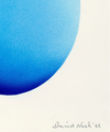Blue Egg de David Nash
