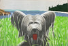 Dog at duck trap