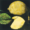 Three Lemons de Donald Sultan