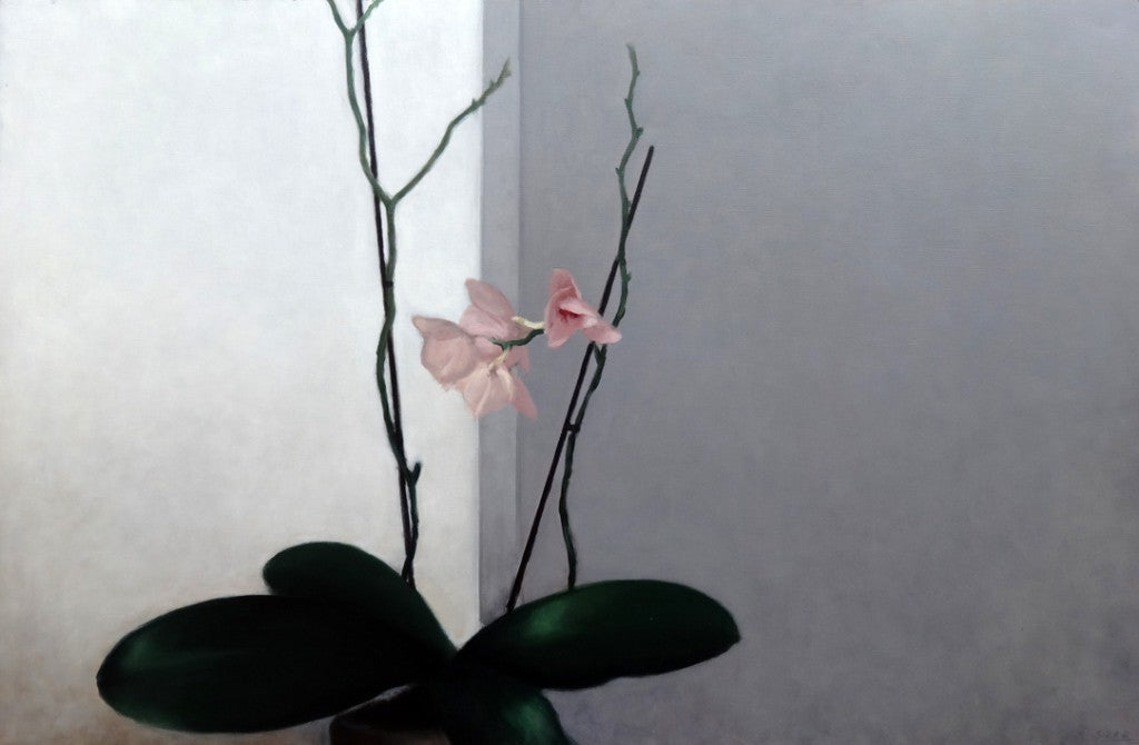 Flor de Gonzalo Sicre