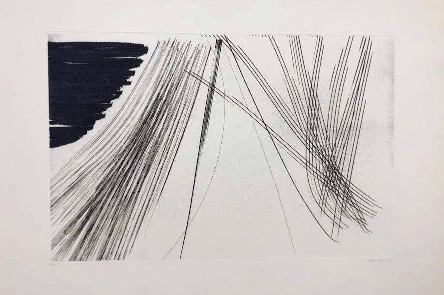 The kite prints