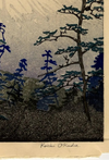 Fuji "Hakone-Kaido" de Koichi Okada