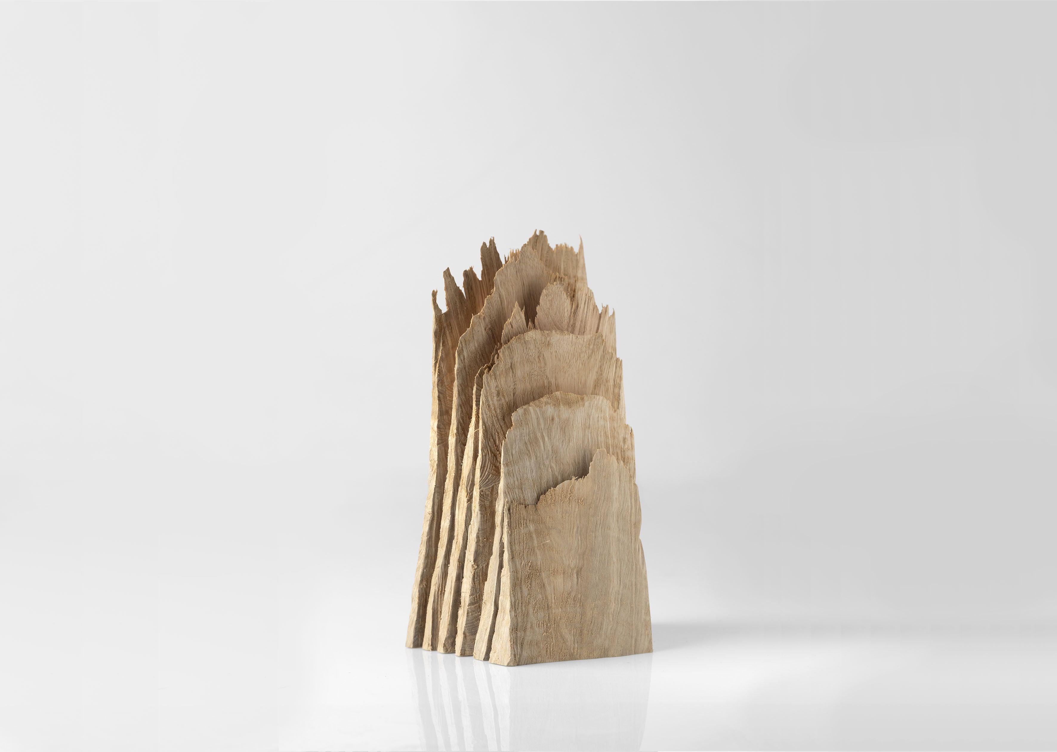 Slice and Warp 3 de David Nash