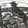 Barce de Miquel Barceló