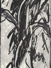 Houseplant