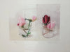 Rosas de invierno I