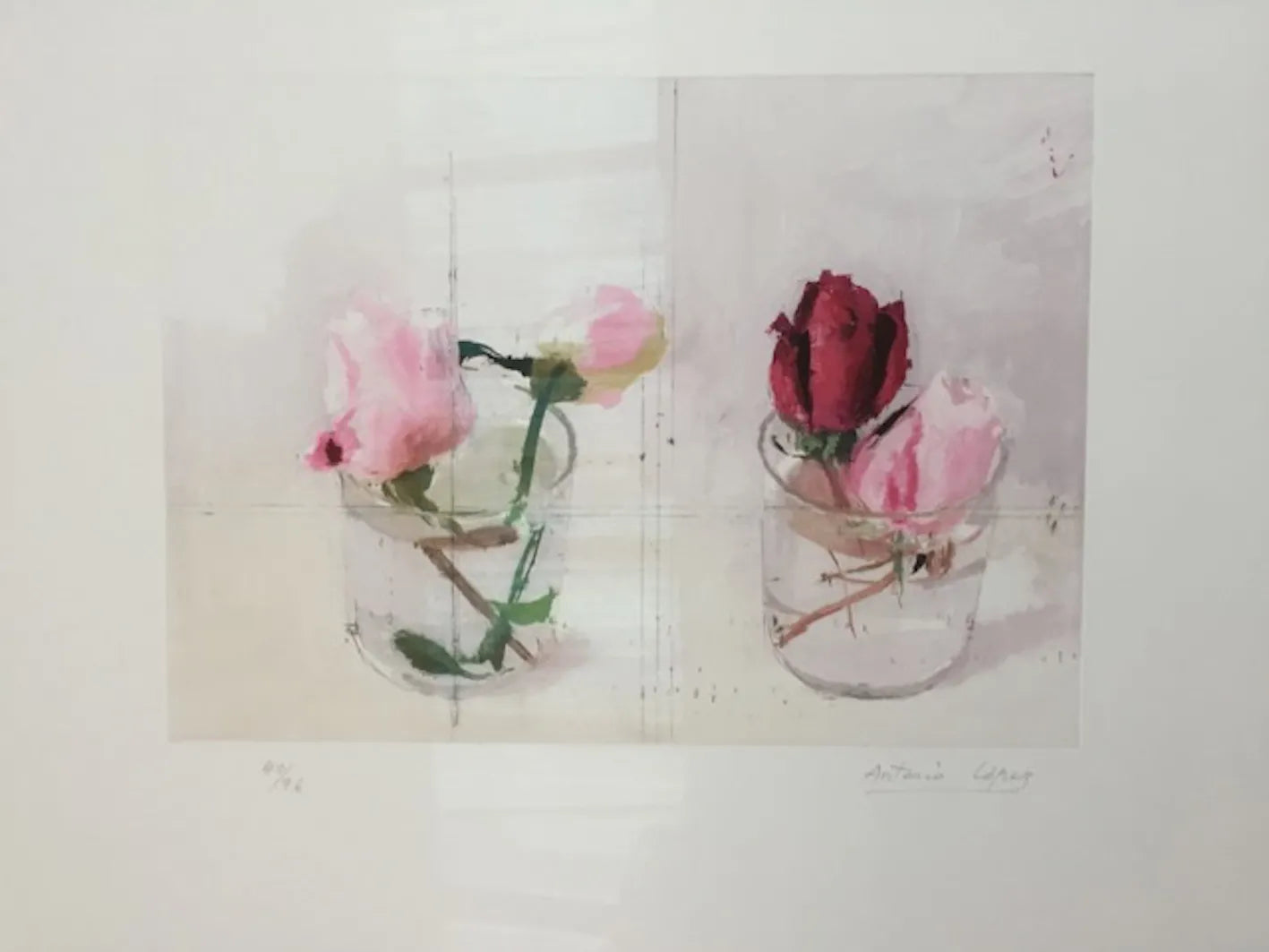 Rosas de invierno I