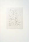 Script I by Pablo Palazuelo