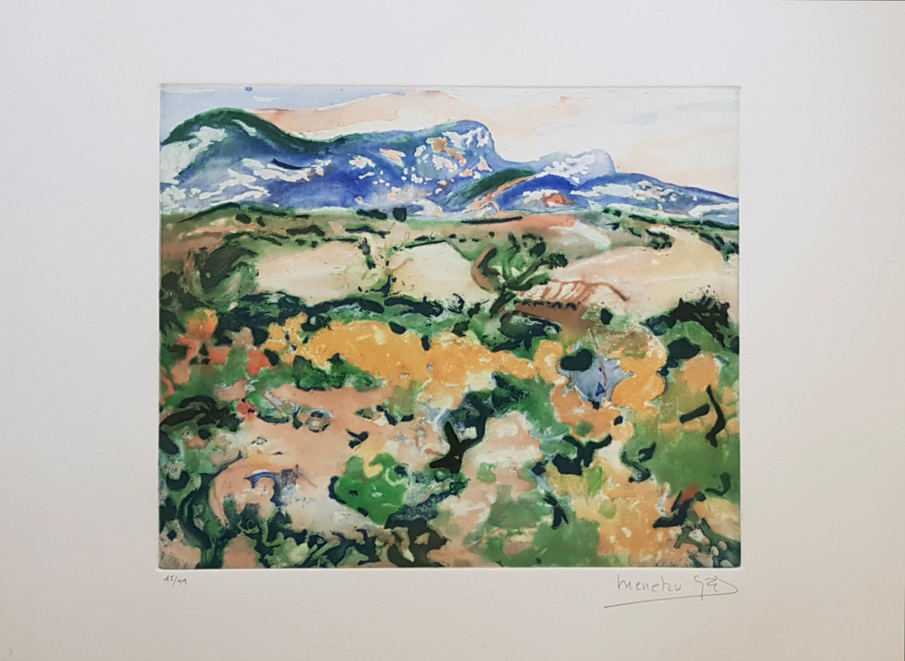 Viñedos